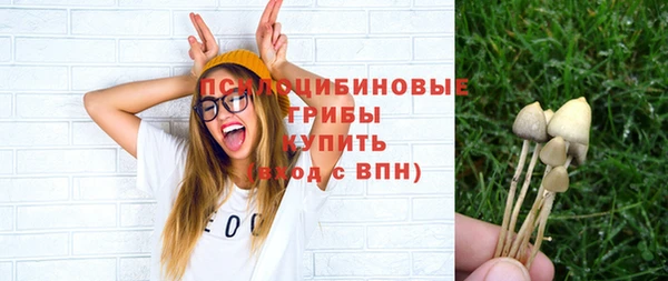 apvp Богородск