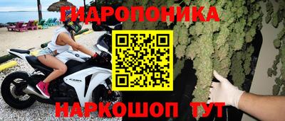 ГАЛЛЮЦИНОГЕННЫЕ ГРИБЫ Кулебаки