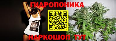 apvp Кунгур