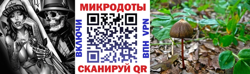 Галлюциногенные грибы мухоморы  Тутаев 