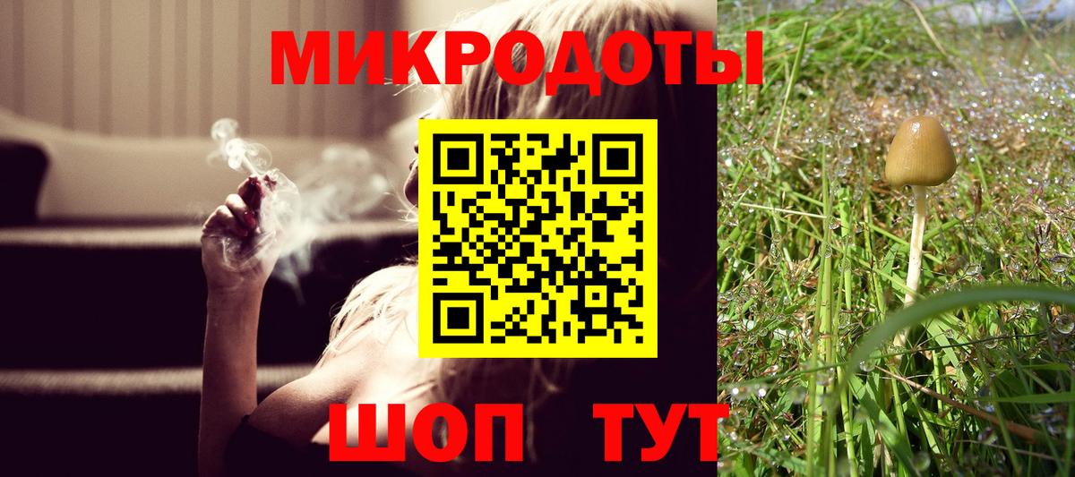 Псилоцибиновые грибы мицелий Тутаев